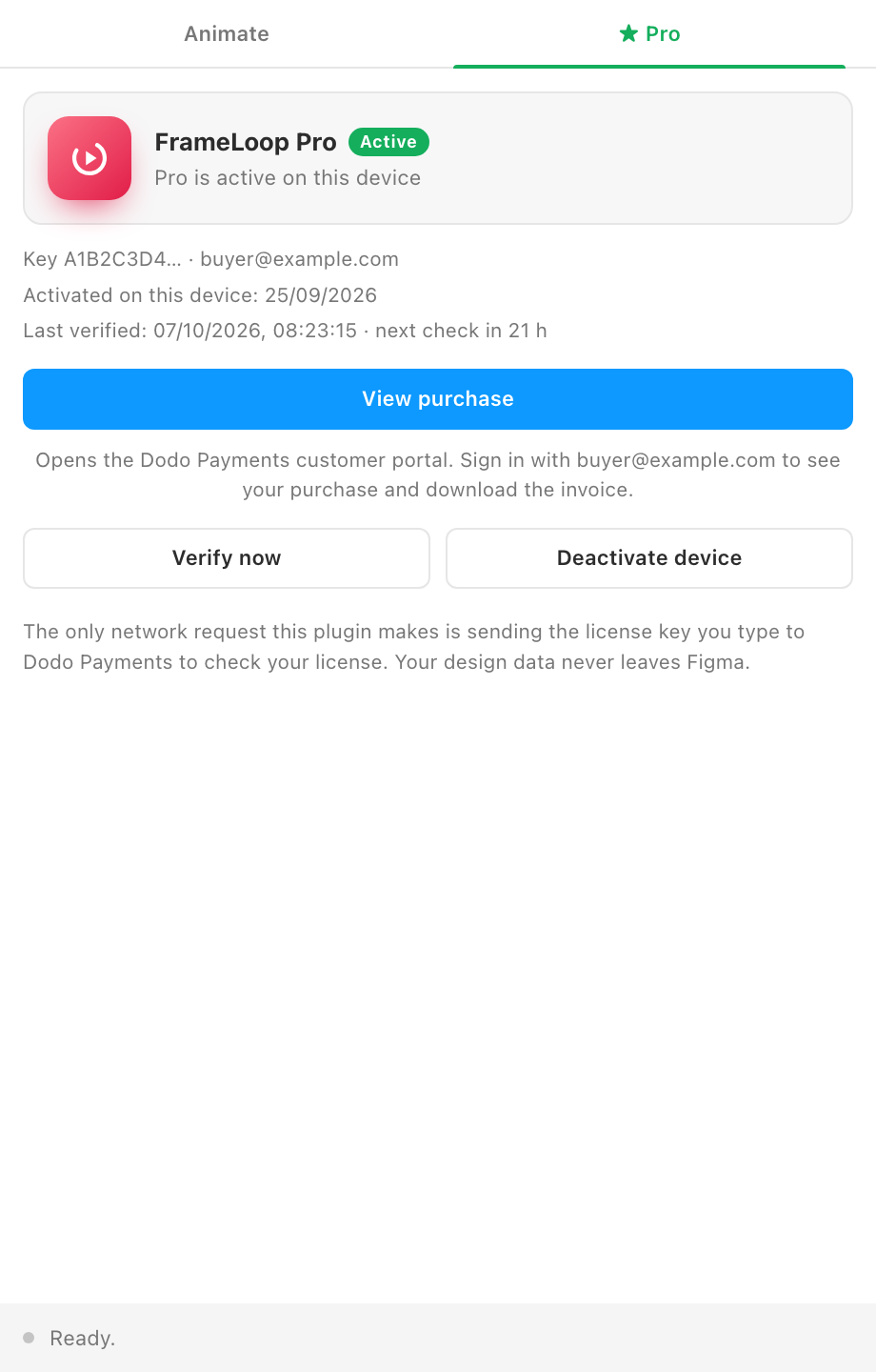 The Pro tab with an active license.