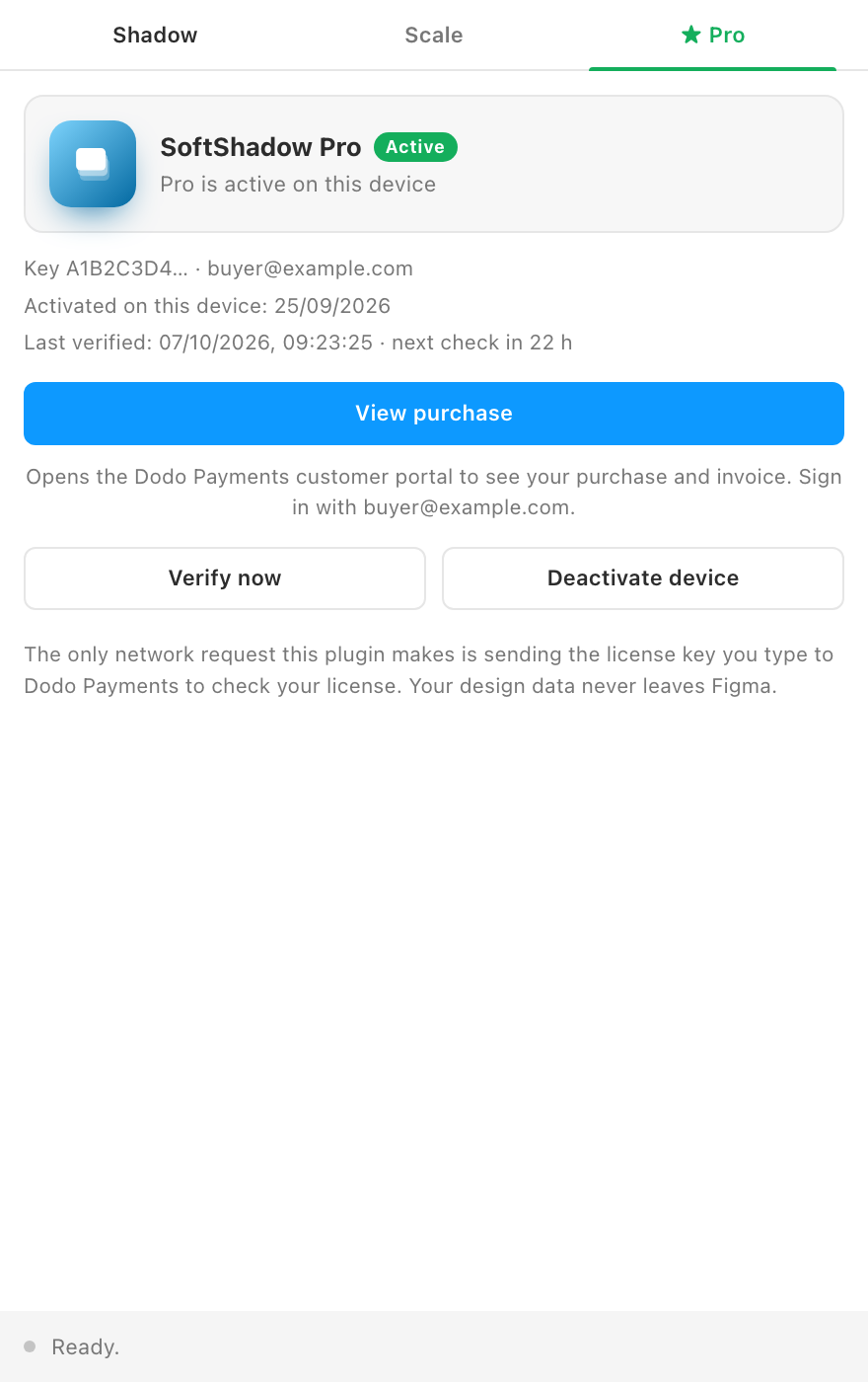 The Get Pro tab with an active license.